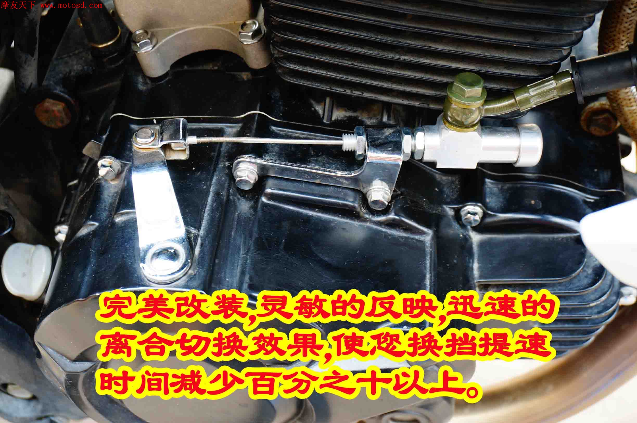 dsc03342.jpg